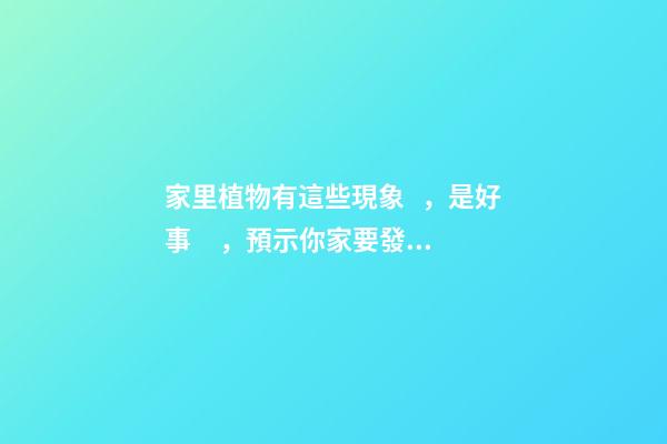 家里植物有這些現象，是好事，預示你家要發大財了！